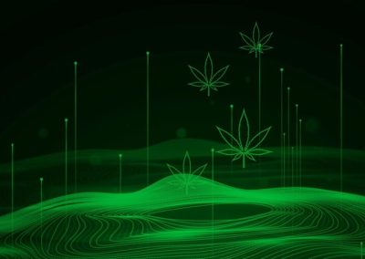 Cannabis deserves the metaverse