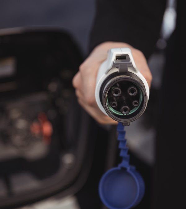 Allies, Not Rivals: Role of BEVs and FCEVs in Decarbonising Transport