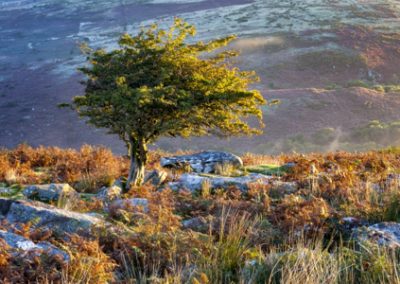 Powering UK’s Green Energy Revolution: Wind, Solar and Hydrogen