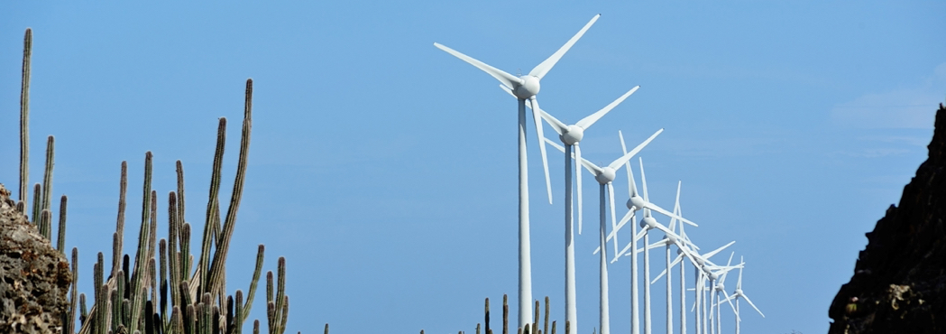 haush_caribbean-netherlands-green-energy-revolution-bonaire-and-sint-eustatius-lead-the-way_01 haush_caribbean-netherlands-green-energy-revolution-bonaire-and-sint-eustatius-lead-the-way_01