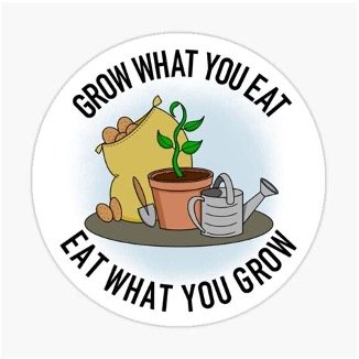 JPFS_OldMan_Tony_193_240725_03