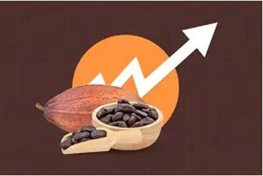 Coffee beans in a wooden scoop next to a cocoa pod, with an orange circle and white upward arrow suggesting growth in the coffee market.